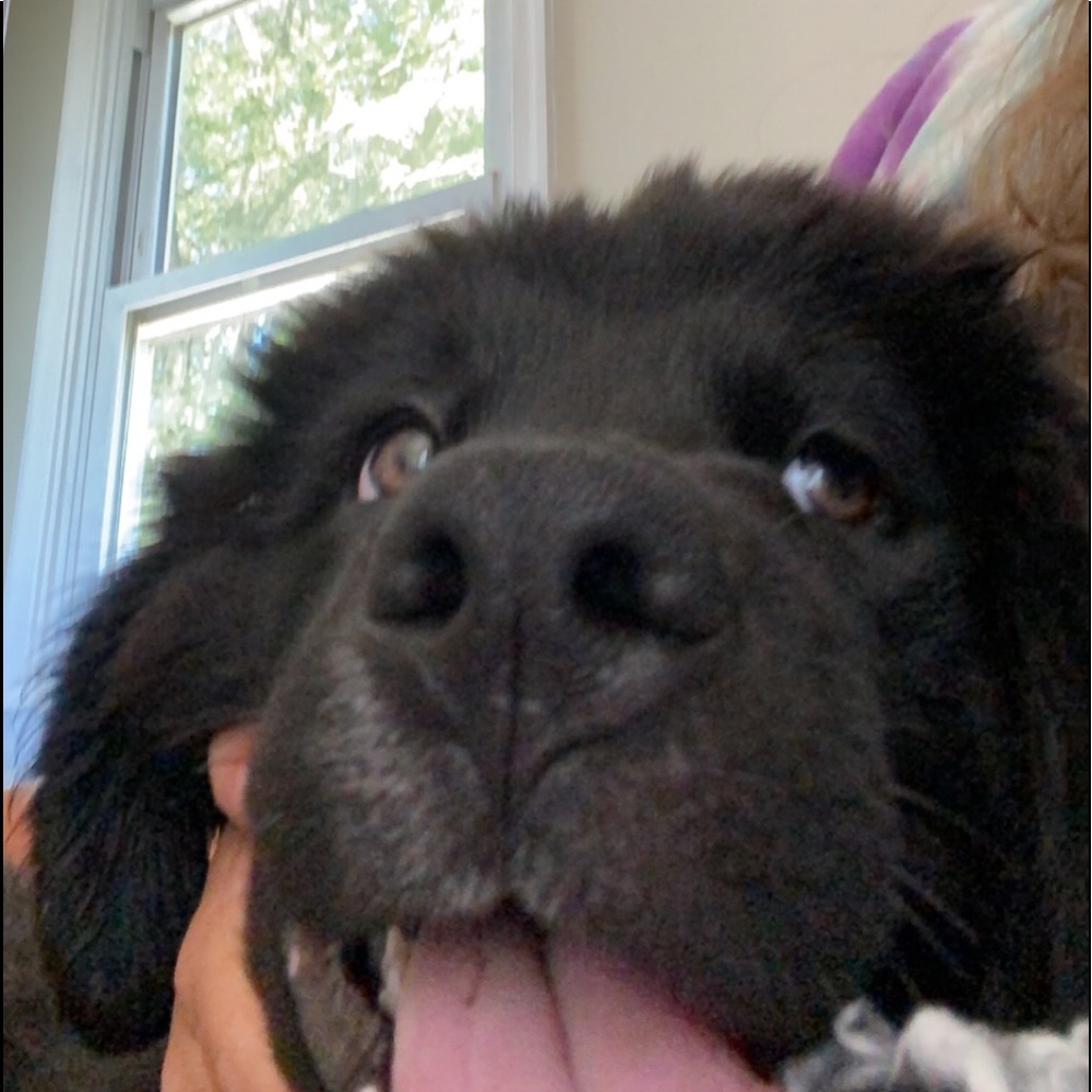 Meet your Posher, Emma